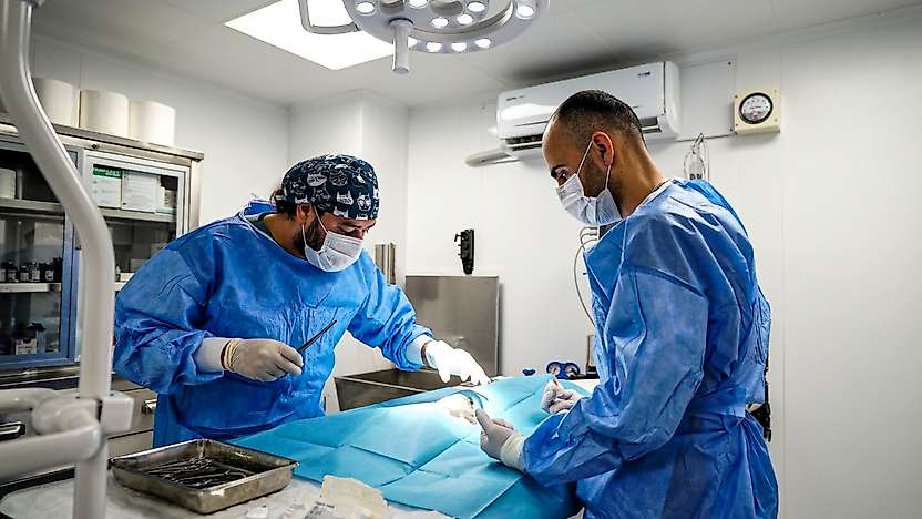 Torbalı'da can dostlar için çalışmalar hız kazandı