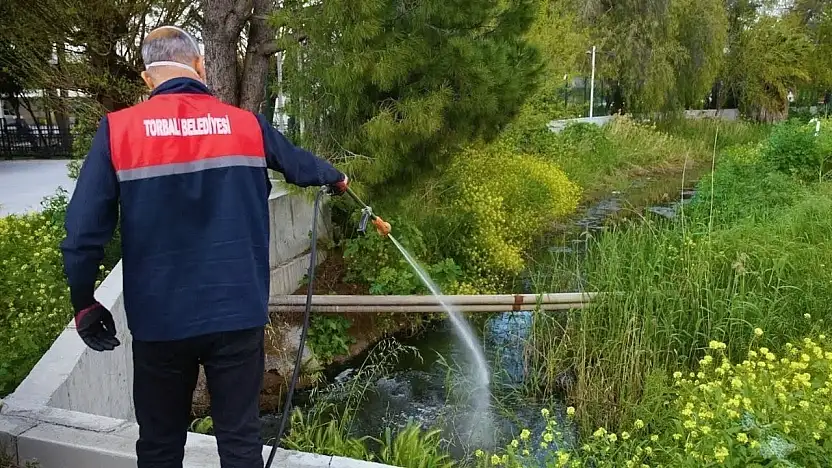 Torbalı'da sivrisinekle mücadele 12 ay sürüyor