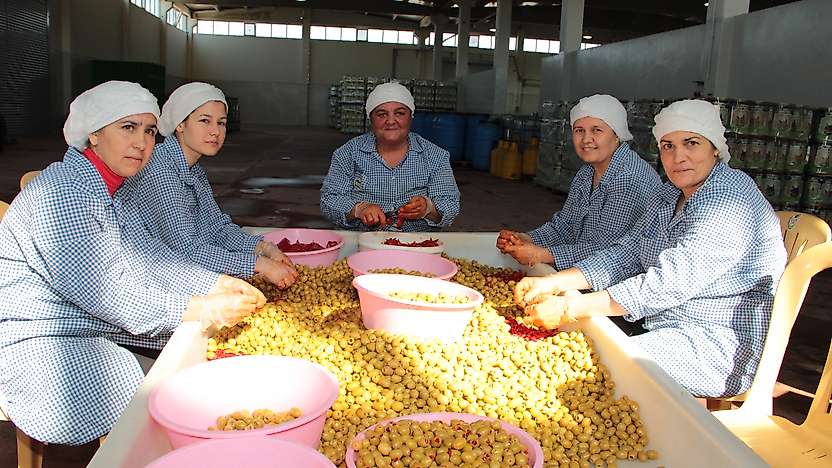 Yüksek rekolteye karşın zeytin ve zeytinyağı ihracatında zor sezon beklentisi