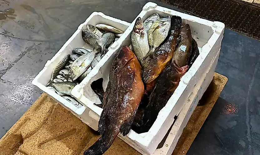 Buca Balık Hali'nde denetim: 45 kilogram su ürününe el konuldu