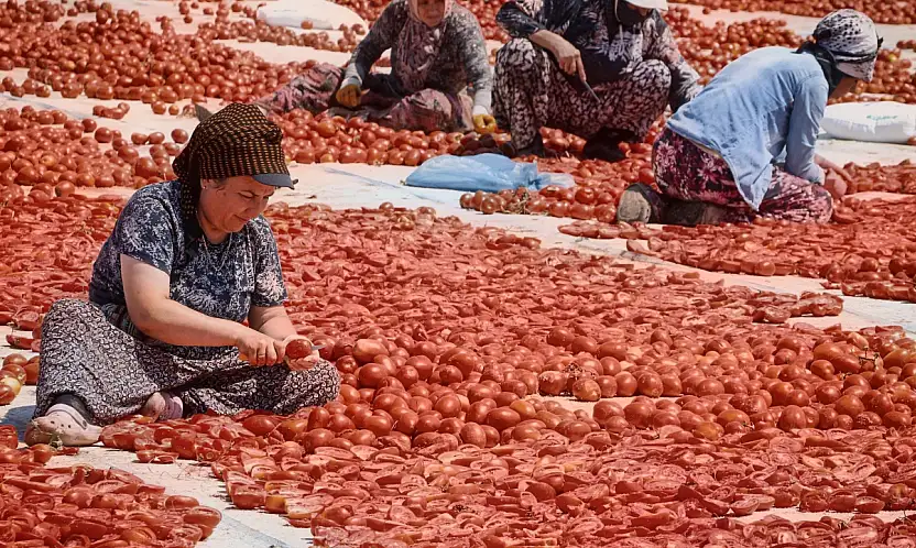 Büyükşehir Torbalı'da kuru domates işçilerini yalnız bırakmadı