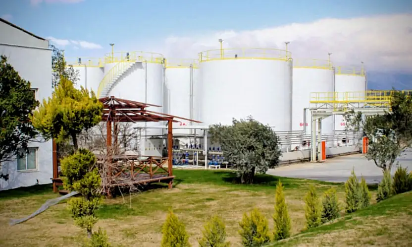 İhracat şampiyonu Verde Yağ listeden düştü!