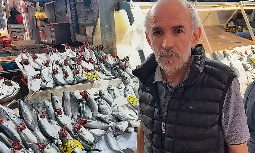 İzmir tezgahlarında palamut bereketi: Tanesi 100 lira