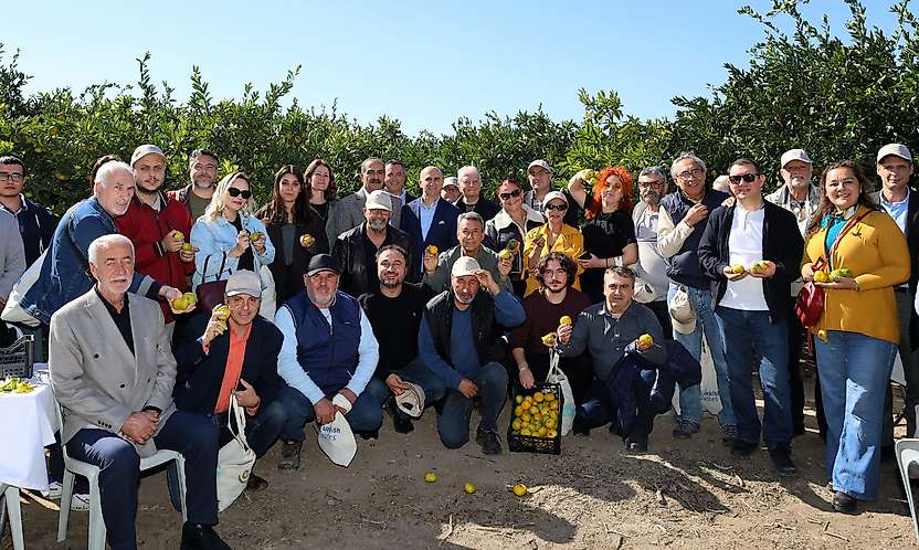 Satsuma mandalinanın ihracat yolculuğu başladı