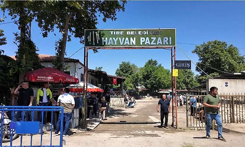 Tire Canlı Hayvan Pazarı şap hastalığı nedeniyle kapatıldı