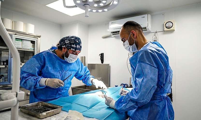 Torbalı'da can dostlar için çalışmalar hız kazandı