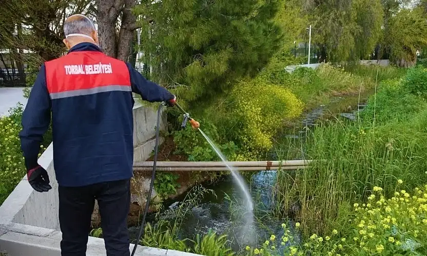 Torbalı'da sivrisinekle mücadele 12 ay sürüyor